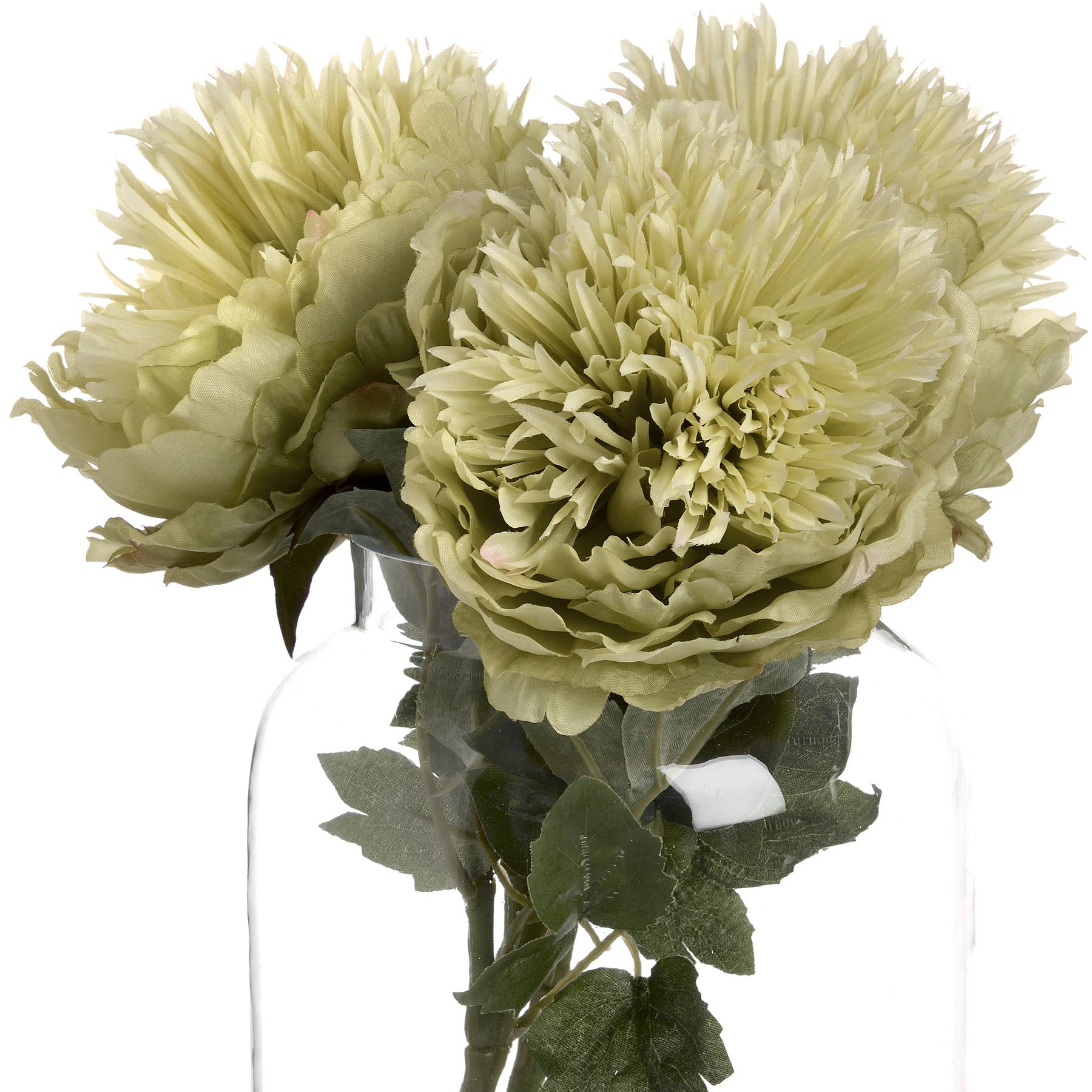 Single  Green Peony