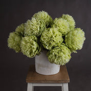 Single  Green Peony