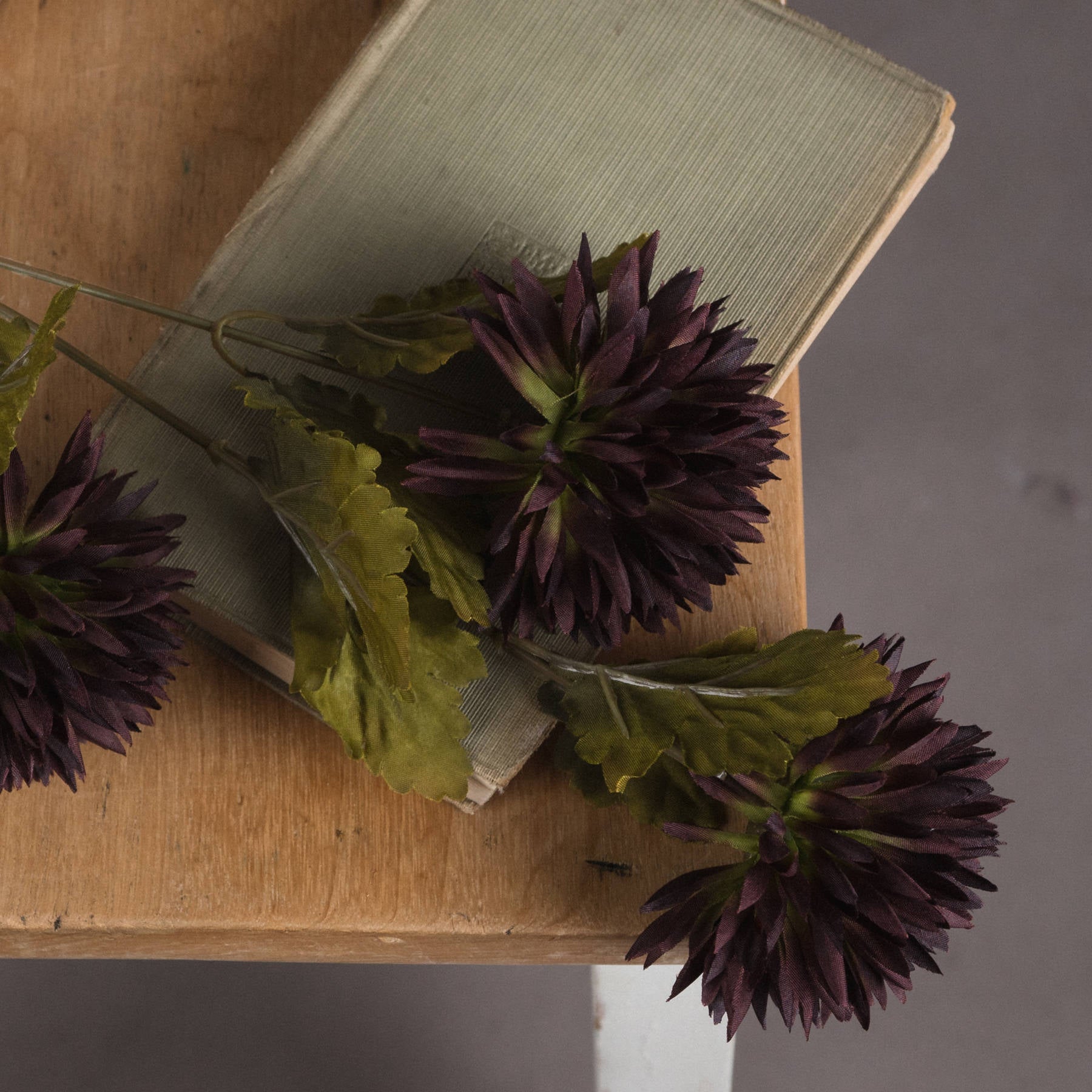 Single Chocolate Chrysanthemum