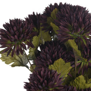 Single Chocolate Chrysanthemum