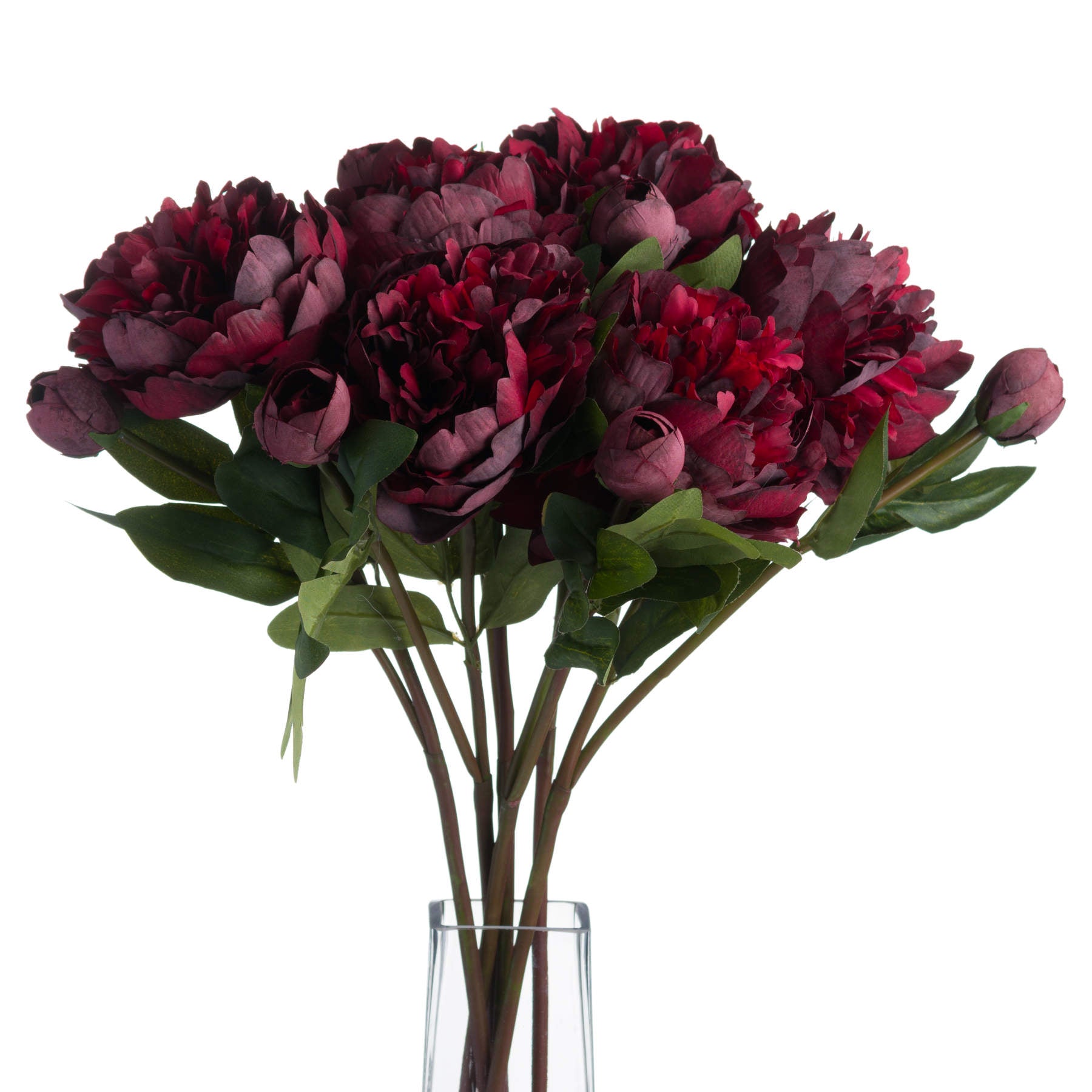 Single Burgundy Peony Rose