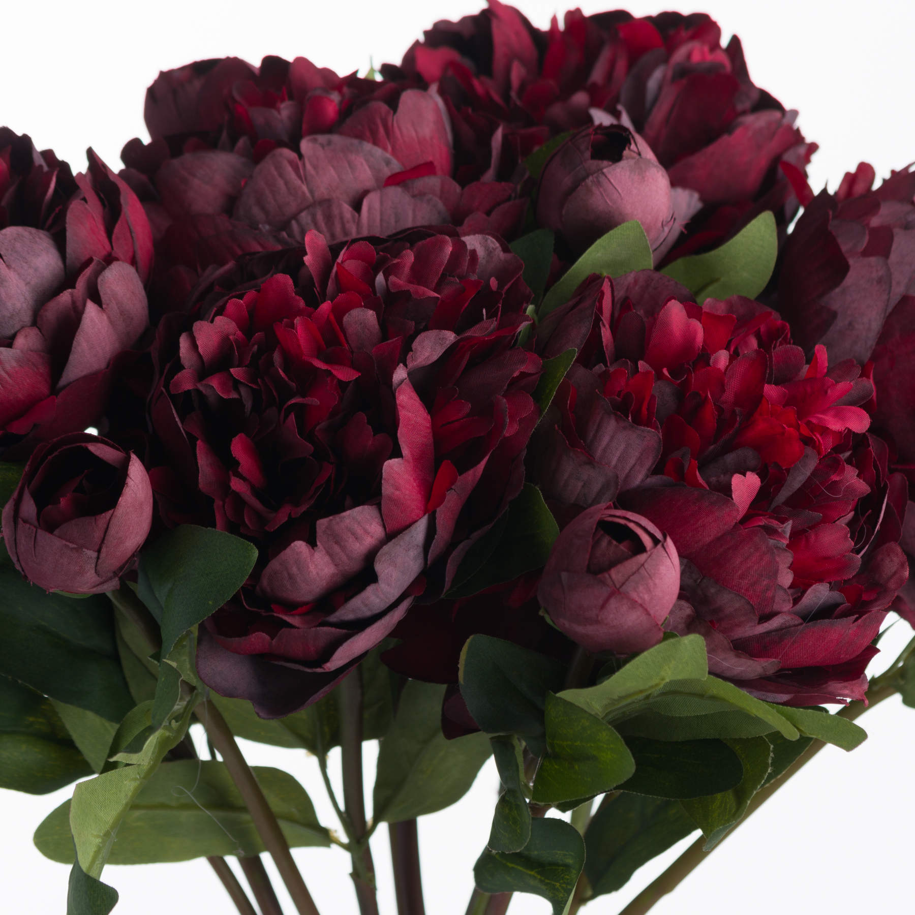 Single Burgundy Peony Rose