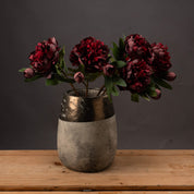 Single Burgundy Peony Rose