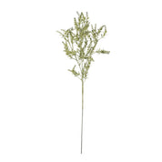 Single Broom Stem