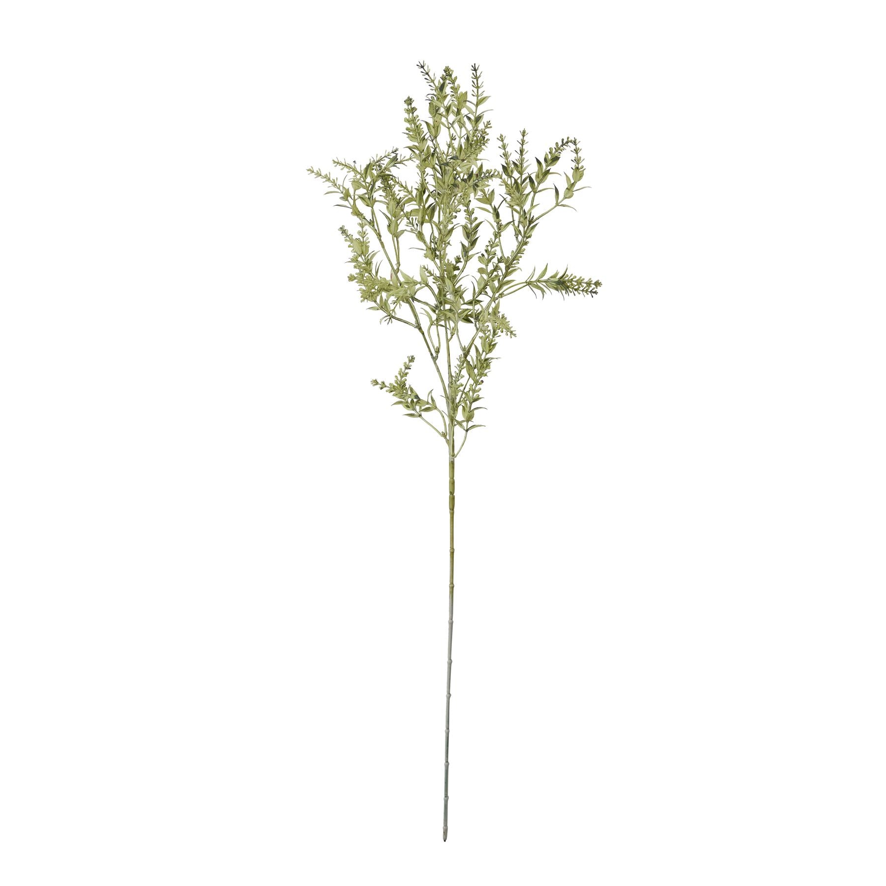 Single Broom Stem