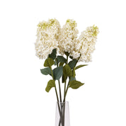 White  Spear Hydrangea