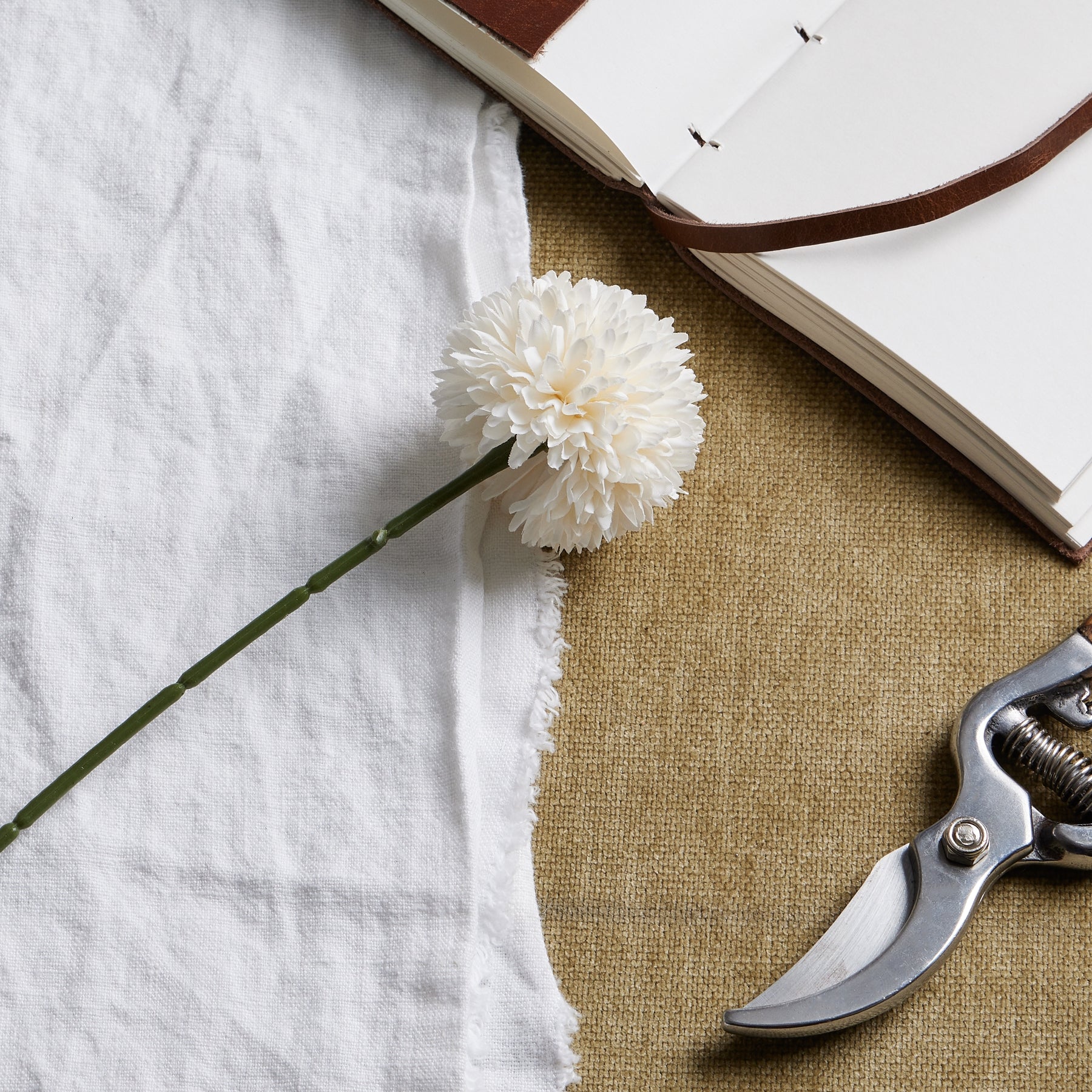 White Short Chrysanthemum