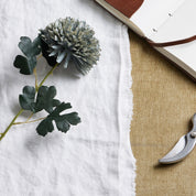 Pale Green Blue Chrysanthemum