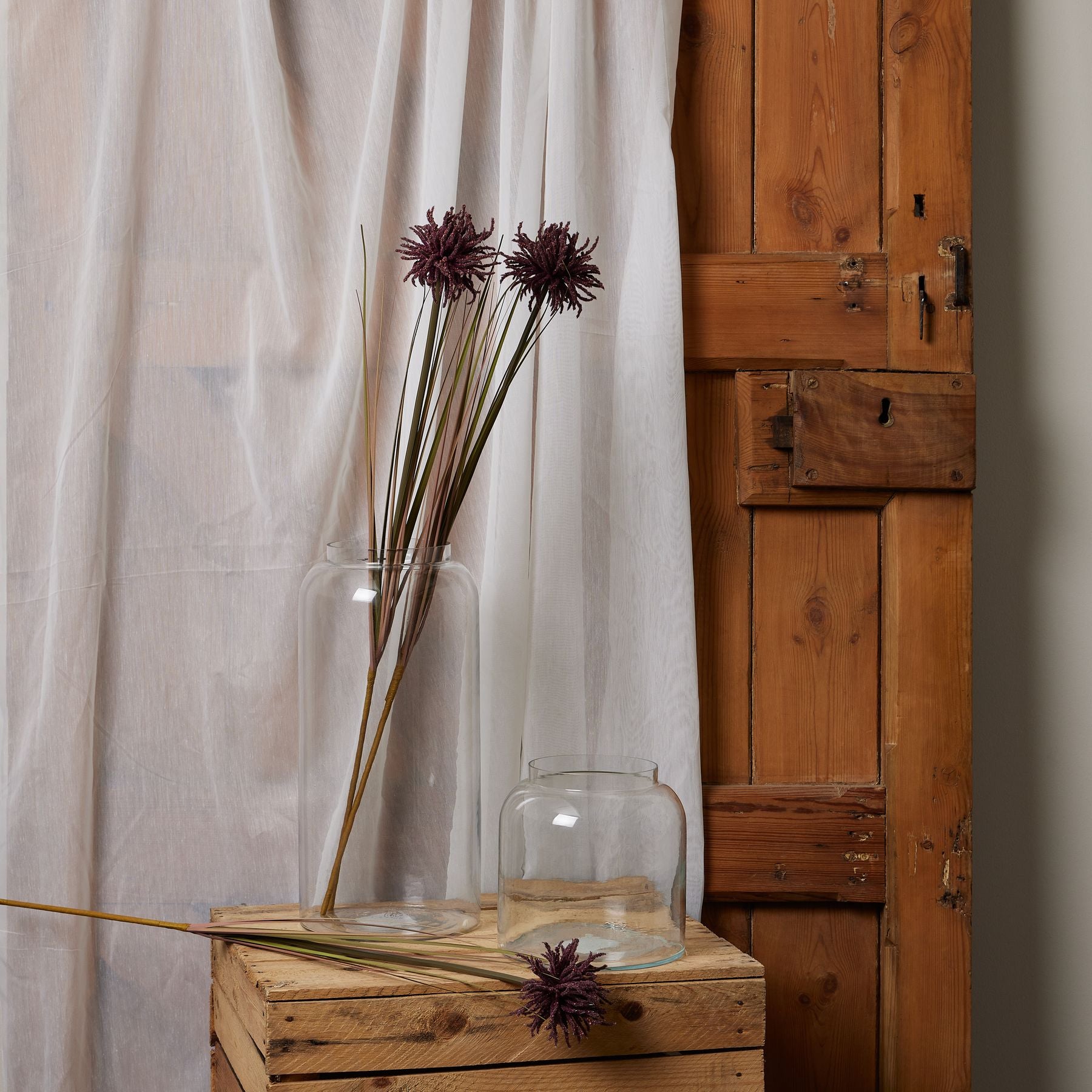 Single Burgundy Aster Spider Chrysanthemum Stem