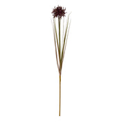 Single Burgundy Aster Spider Chrysanthemum Stem