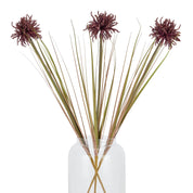 Single Burgundy Aster Spider Chrysanthemum Stem