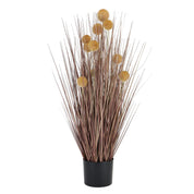 Large Coffee Pompom Alliums In Black Pot