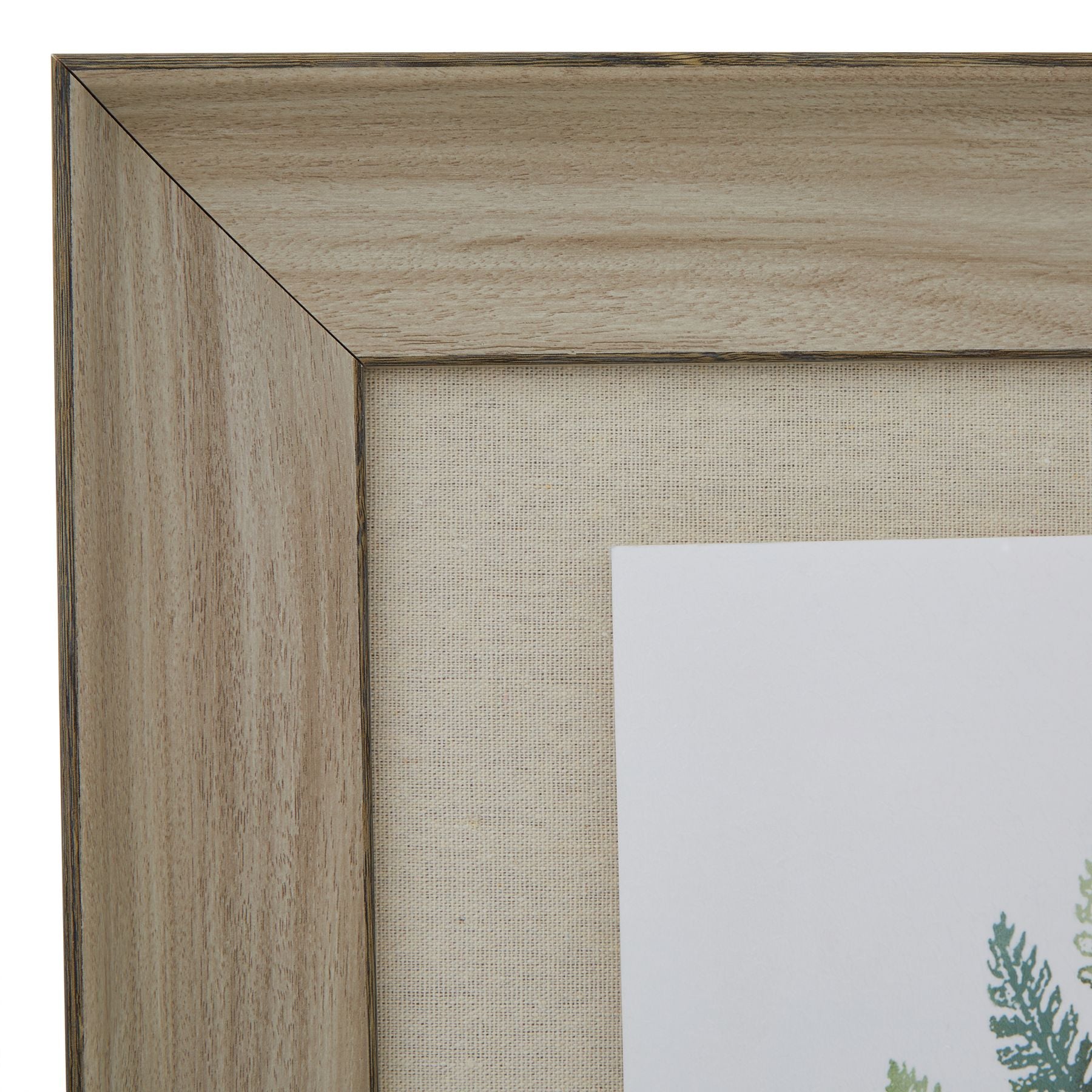 Watercolour Fern Duo In Washed Wood Frame