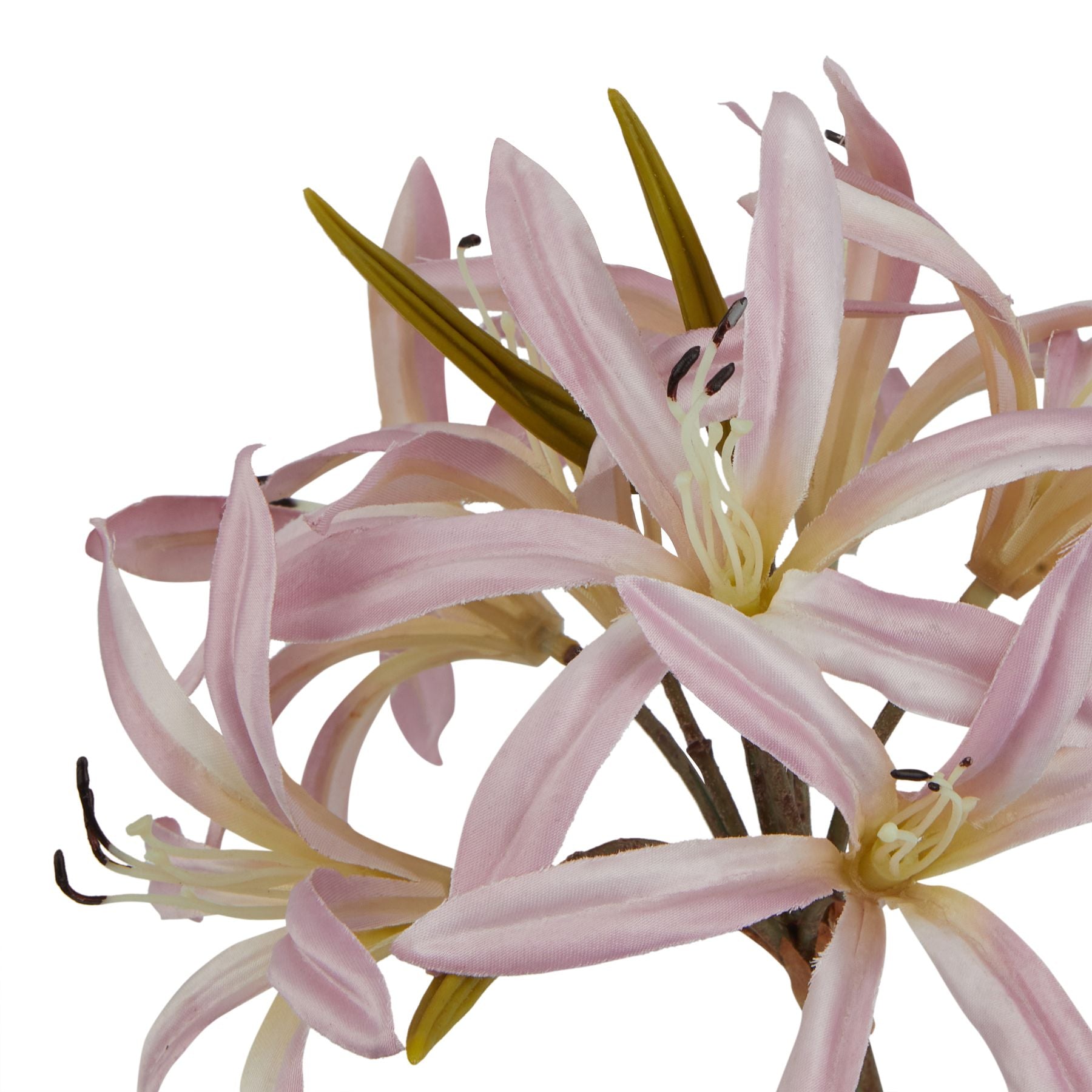 The Natural Garden Collection Pink Lily Stem