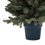 Medium Fir Tree In English Pine Potted Tree Christmas Tree - 90cm