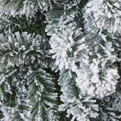 Snowy Pine Tree